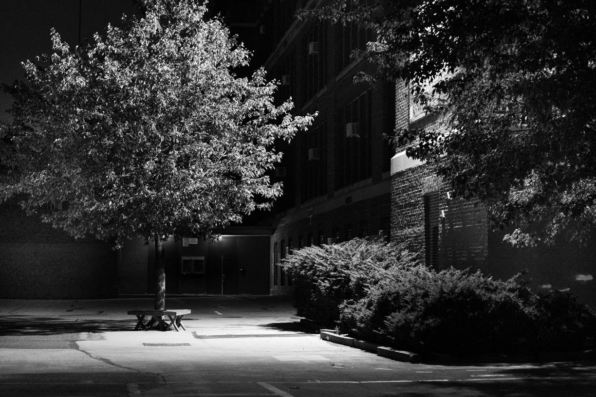 Black and white view of tree in a parking lot next to a building