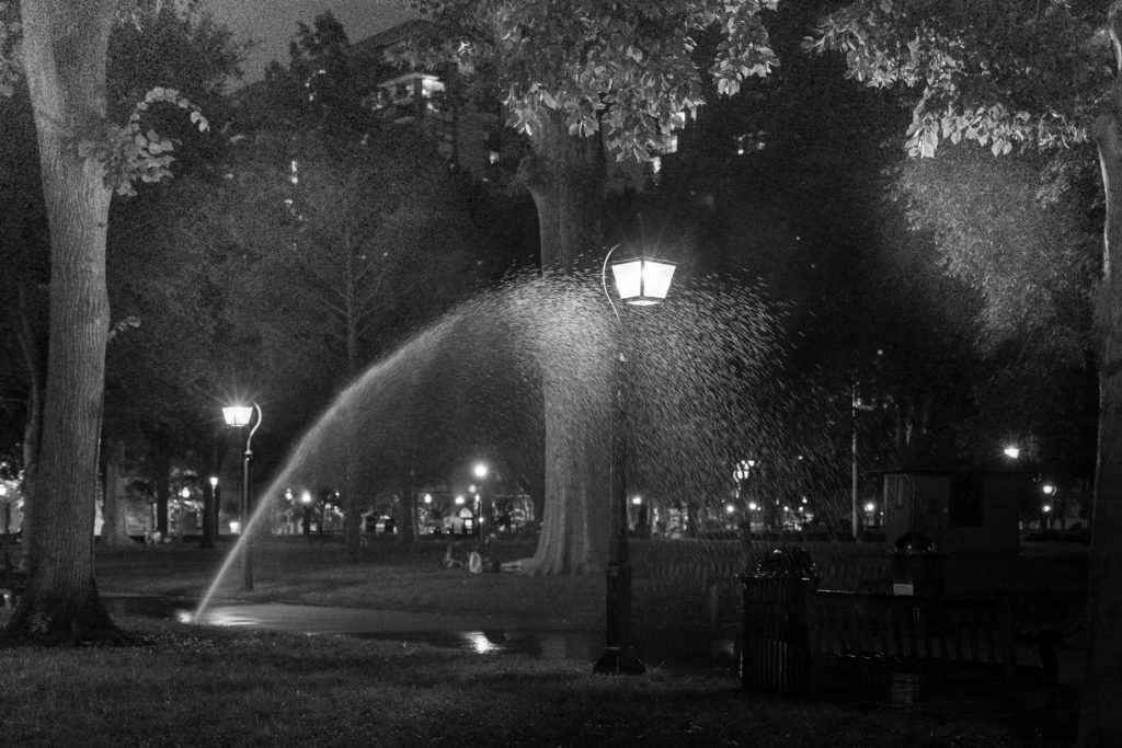 Night view of sprinkler near trees in Washington Square Park