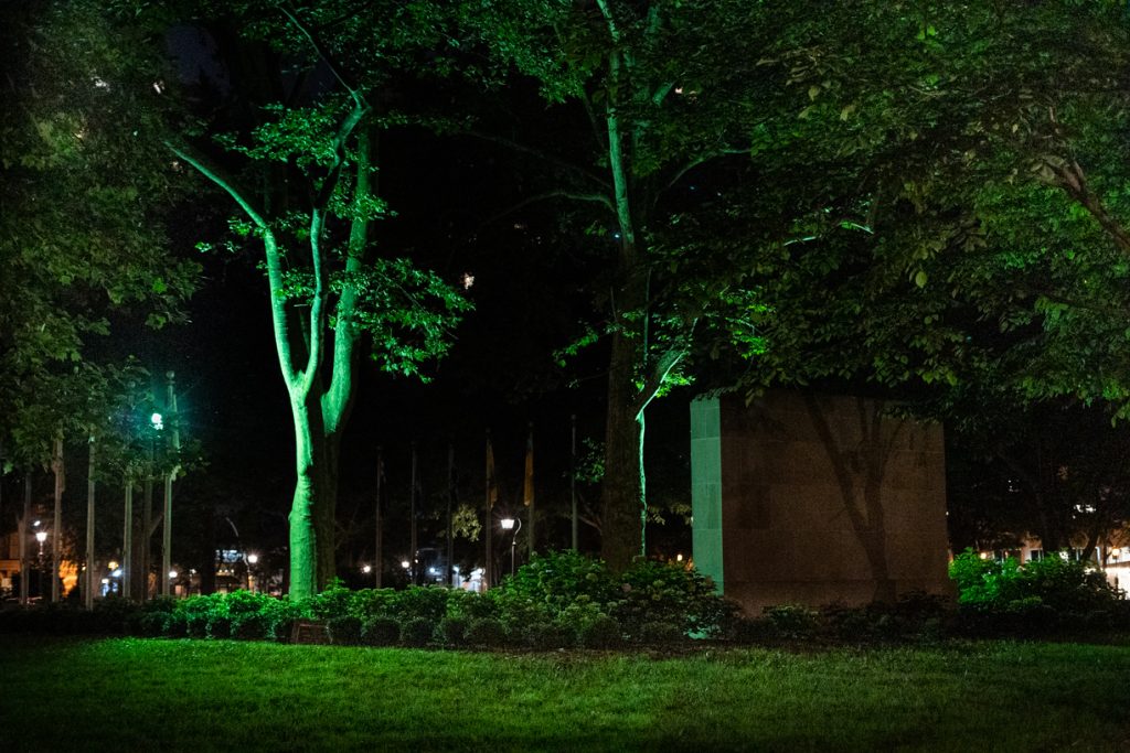 Color night view of trees and lawn in Washington Square Park
