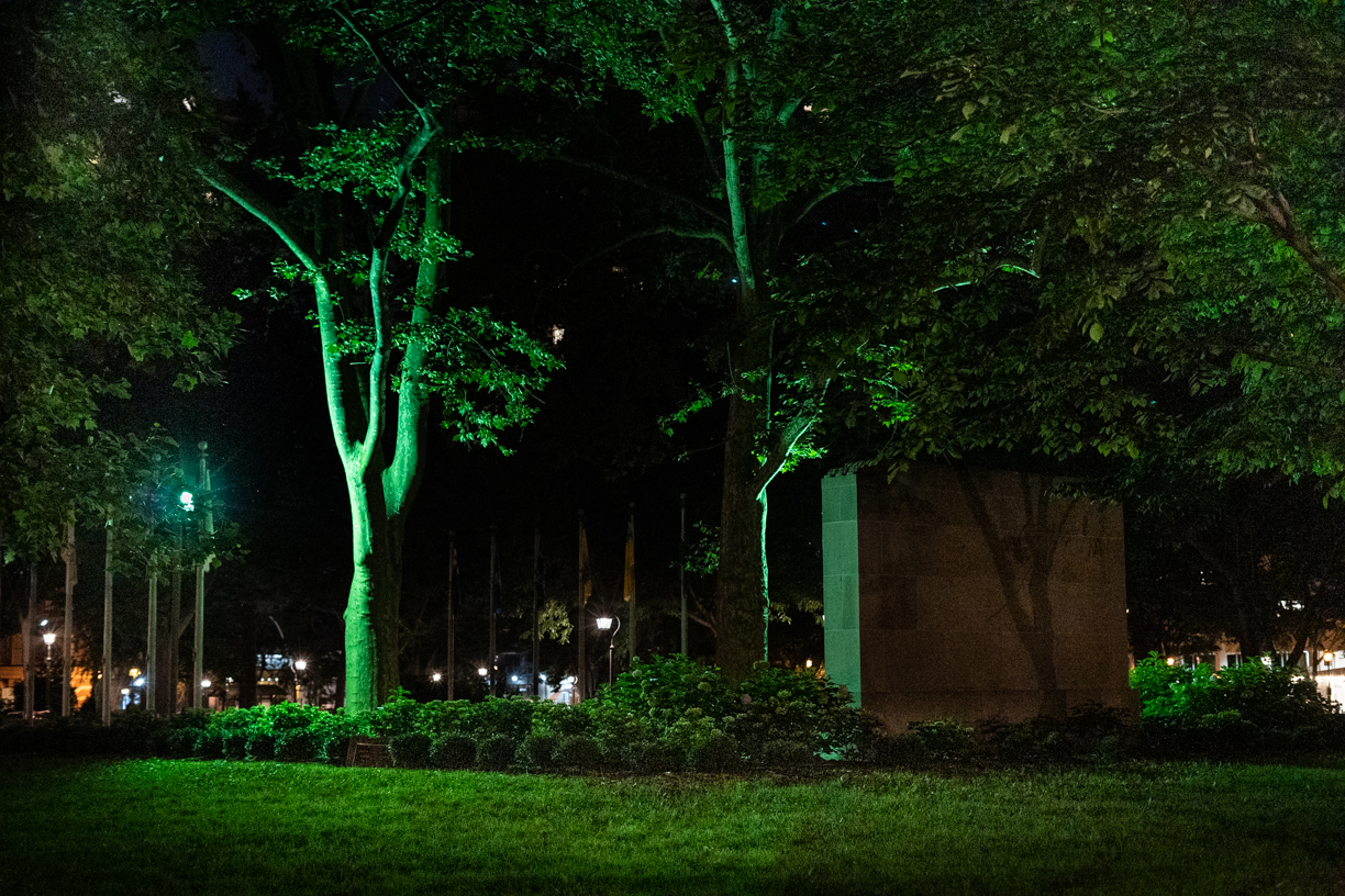 Color night view of trees and lawn in Washington Square Park