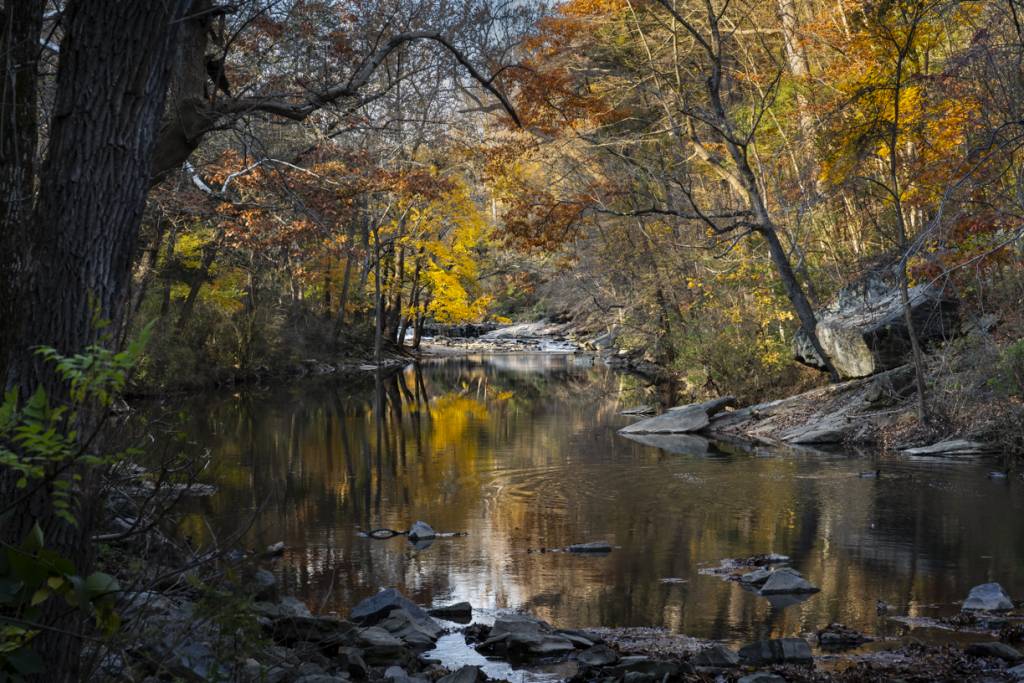 Color view of the Wissahickon Creek with trees in autumn colors.
